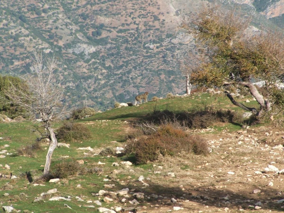 Caiat Lounge Refuge Hostel Taghzoute Exterior photo